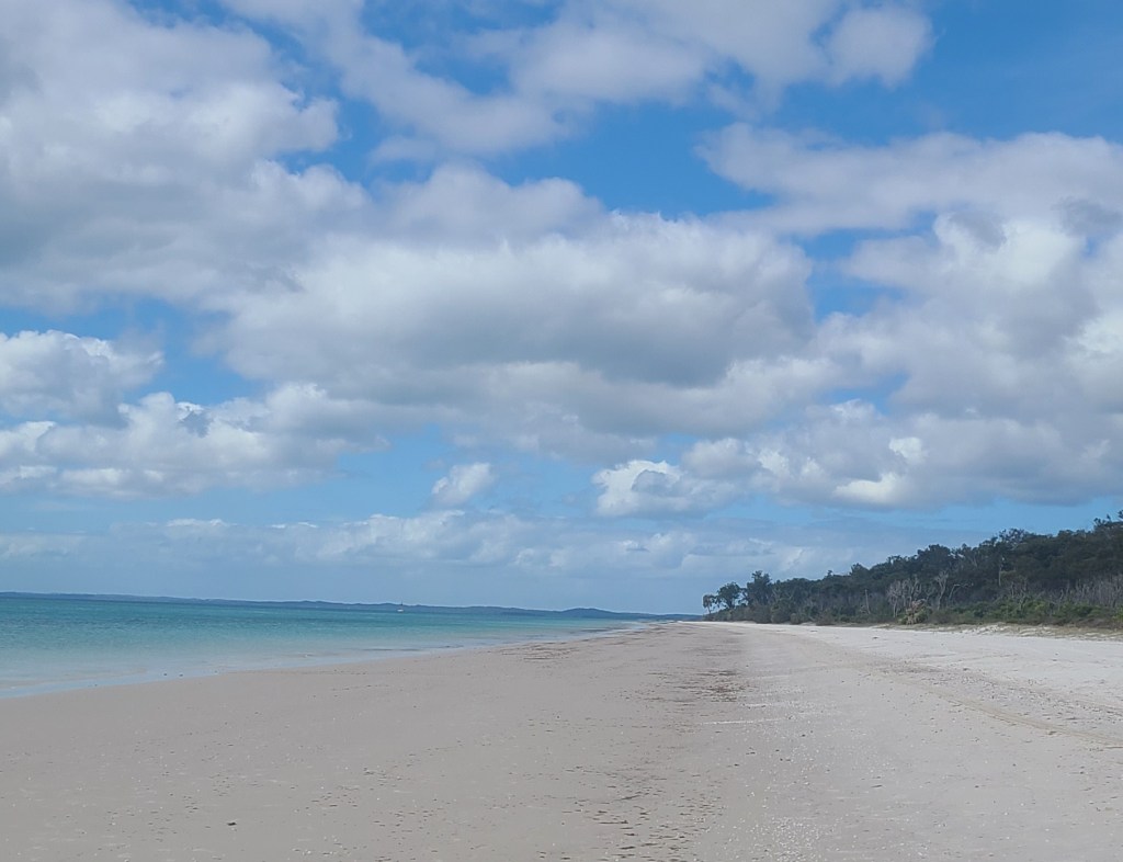 The pristine white sand on K'gari (Fraser Island)