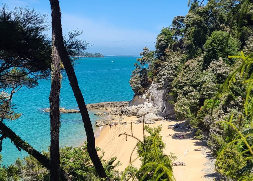 A beautiful beach on the Abel Tasman track