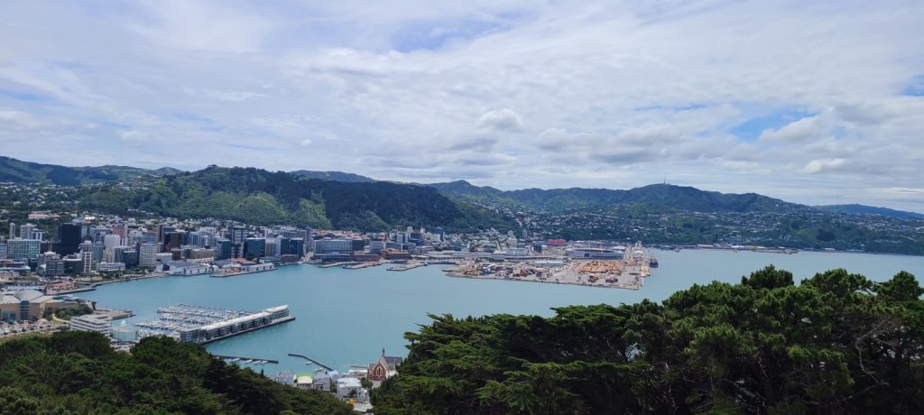 A view of Wellington from Mount Victoria